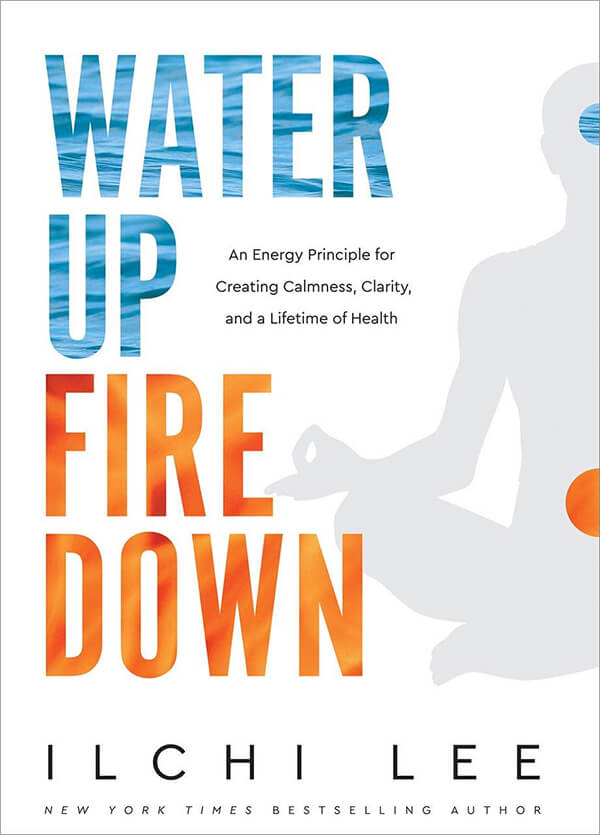 water up fire down (book)