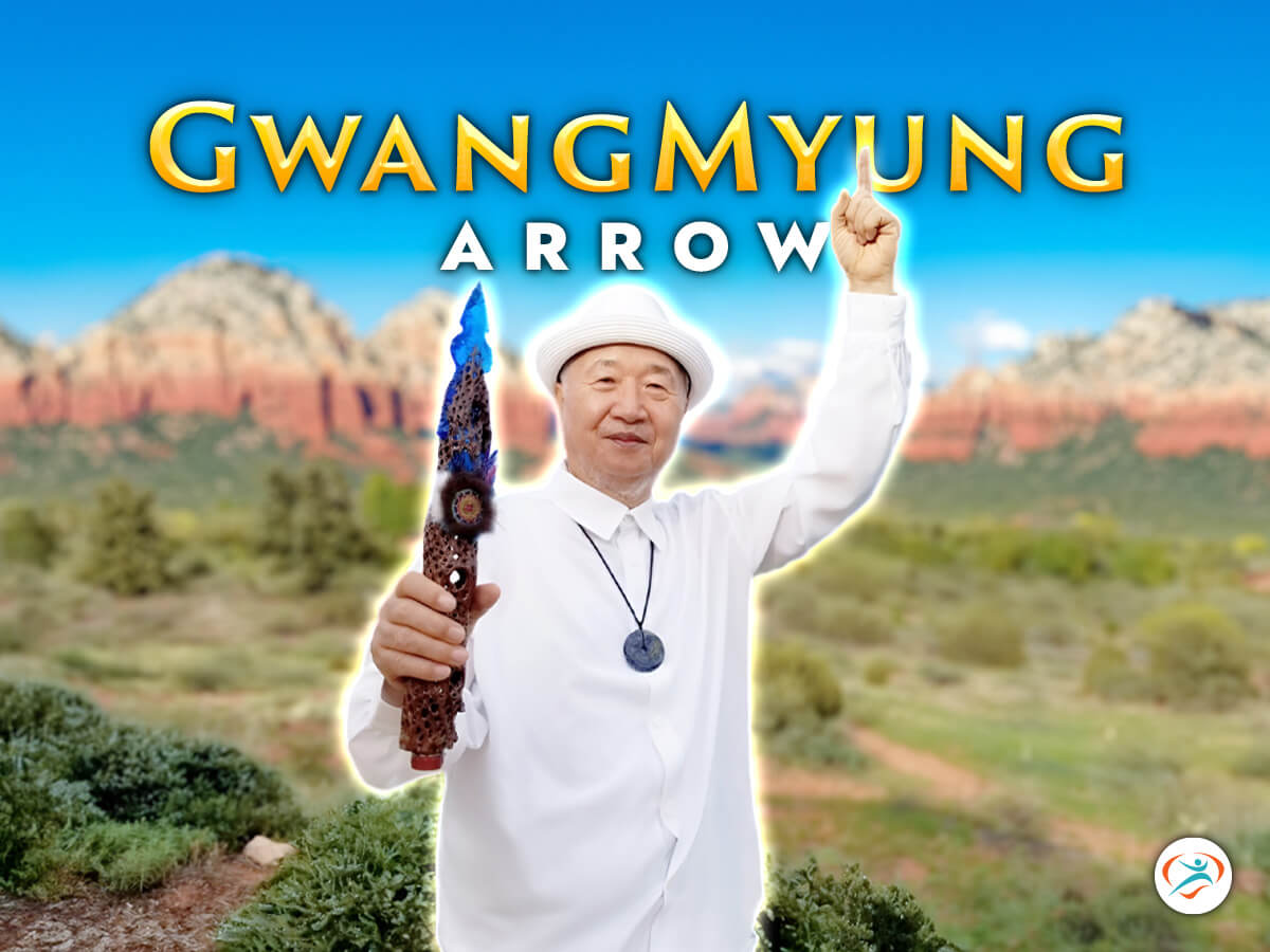 gwangmyung arrow (social media)