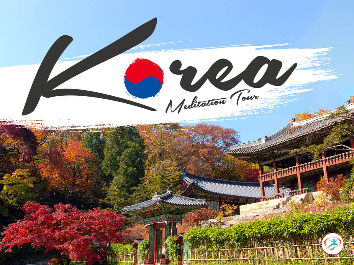 korea meditation tour (social media)