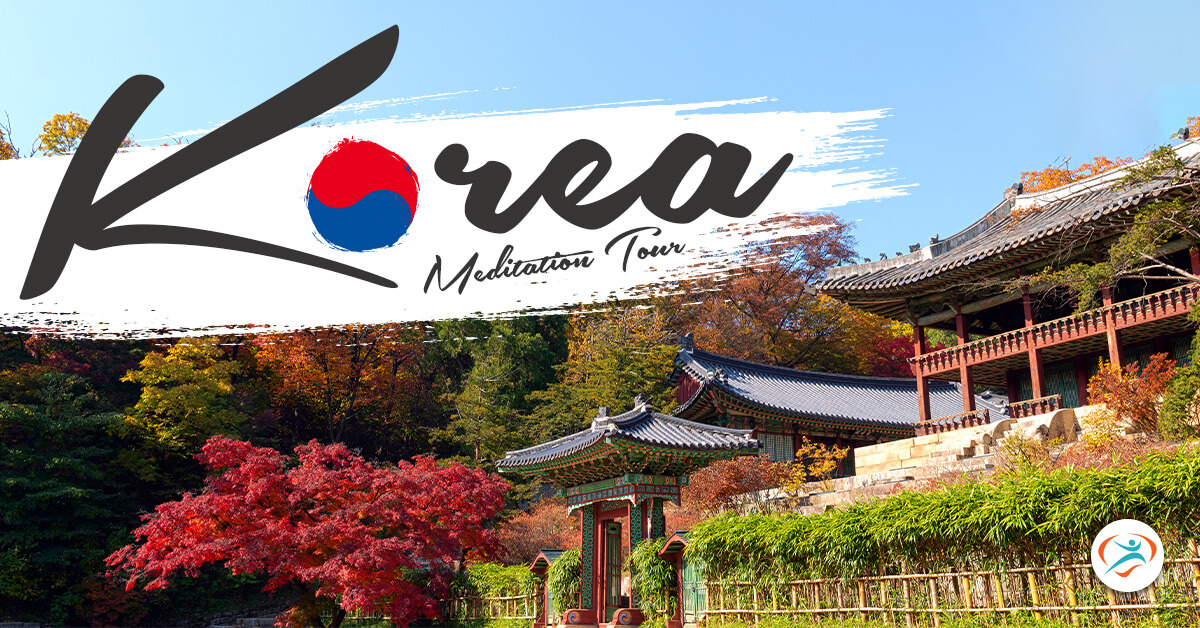 korea meditation tour (web & event)