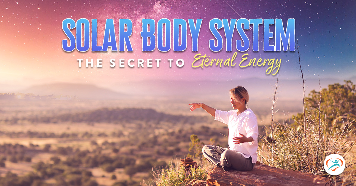 solar body system (web & event)
