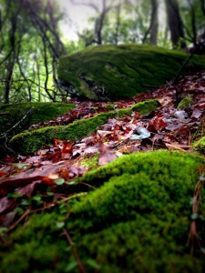 rocks-1-225x300 rocks-1-225x300